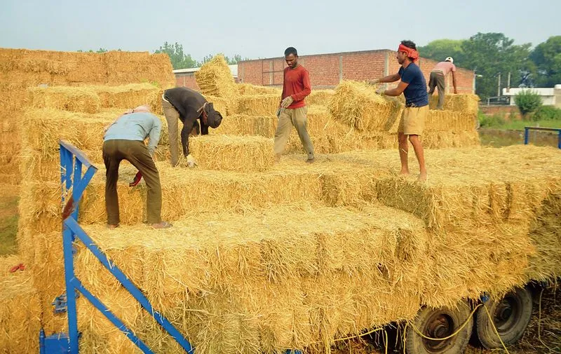 ਸੰਸਦੀ ਕਮੇਟੀ ਵੱਲੋਂ ਕਿਸਾਨਾਂ ਨੂੰ ਪਰਾਲੀ ’ਤੇ ਐੱਮਐੱਸਪੀ ਦੇਣ ਦੀ ਸਿਫਾਰਸ਼