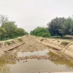 ਝੋਨੇ ਦੀ ਲੁਆਈ ਸਮੇਂ ਪਾਣੀ ਦੀ ਬੰਦੀ, ਨਹਿਰਾਂ ਸੁੱਕੀਆਂ