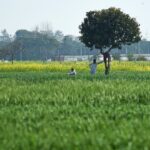 ਕਿਸਾਨਾਂ ਦੇ ਵਿਰੋਧ ਮਗਰੋਂ ‘ਲੈਂਡ ਪੂਲਿੰਗ ਨੀਤੀ’ ’ਚ ਬਦਲਾਅ