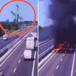 ਹਾਈਵੇਅ ’ਤੇ ਡਿੱਗਿਆ ਜਹਾਜ਼; 75 ਸਾਲਾ ਪਾਇਲਟ ਸਮੇਤ 2 ਦੀ ਮੌਤ