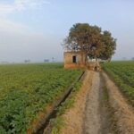 ਲੈਂਡ ਪੂਲਿੰਗ ਨੀਤੀ ਤਿੰਨ ਸ਼ਹਿਰਾਂ ਤੱਕ ਸਿਮਟੇਗੀ