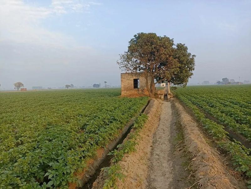 ਲੈਂਡ ਪੂਲਿੰਗ ਨੀਤੀ ਤਿੰਨ ਸ਼ਹਿਰਾਂ ਤੱਕ ਸਿਮਟੇਗੀ