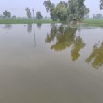 ਹੜ੍ਹਾਂ ਦੀ ਮਾਰ: ਹਿਮਾਚਲ ਵੱਲੋਂ ਪੌਂਗ ਡੈਮ ’ਚੋਂ ਘੱਟ ਪਾਣੀ ਛੱਡਣ ਦੀ ਅਪੀਲ