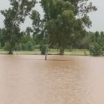 ਪੌਂਗ ਡੈਮ ’ਚੋਂ ਮੁੜ ਪਾਣੀ ਛੱਡਣ ਕਾਰਨ ਪਿੰਡਾਂ ’ਚ ਸਹਿਮ