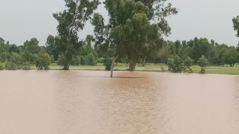 ਪੌਂਗ ਡੈਮ ’ਚੋਂ ਮੁੜ ਪਾਣੀ ਛੱਡਣ ਕਾਰਨ ਪਿੰਡਾਂ ’ਚ ਸਹਿਮ