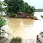 ਪੌਂਗ ਡੈਮ ਵਿੱਚ ਪਾਣੀ ਦਾ ਪੱਧਰ 1386.20 ਫੁੱਟ ’ਤੇ ਪੁੱਜਿਆ