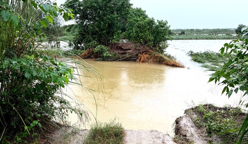 ਪੌਂਗ ਡੈਮ ਵਿੱਚ ਪਾਣੀ ਦਾ ਪੱਧਰ 1386.20 ਫੁੱਟ ’ਤੇ ਪੁੱਜਿਆ