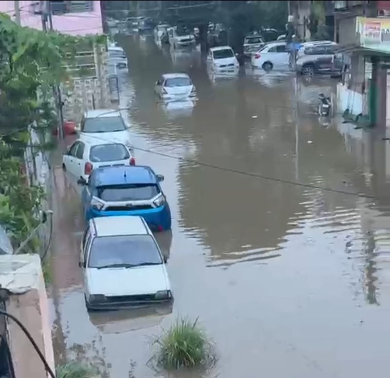 ਮੁਹਾਲੀ ਵਿਚ ਫੇਜ਼ 11 ਦੇ ਕਈ ਘਰਾਂ ’ਚ ਭਰਿਆ ਮੀਂਹ ਦਾ ਪਾਣੀ