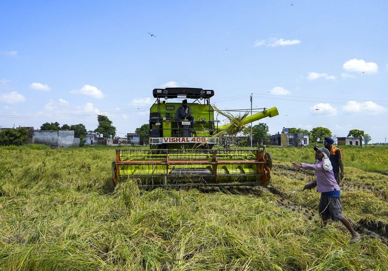 ਪੰਜਾਬ ’ਚ ਝੋਨੇ ਦੀ ਸਰਕਾਰੀ ਖ਼ਰੀਦ ਅੱਜ ਤੋਂ