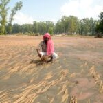 ਨਵੀਂ ਰਣਨੀਤੀ: ਦਰਿਆਵਾਂ ’ਚੋਂ ਗਾਰ ਕੱਢਣ ਨੂੰ ਹਰੀ ਝੰਡੀ