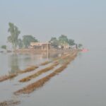 ਸੁਲਤਾਨਪੁਰ ਲੋਧੀ ਦੇ ਮੰਡ ਇਲਾਕੇ ’ਚ ਹੜ੍ਹ ਦਾ ਪਾਣੀ ਘਟਿਆ