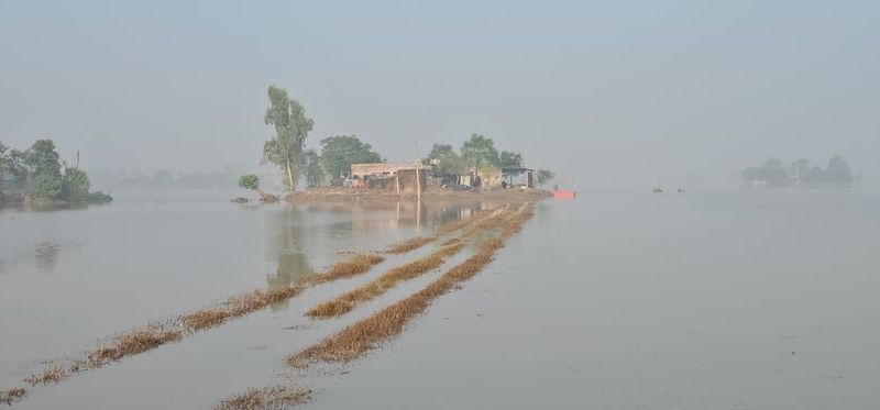 ਸੁਲਤਾਨਪੁਰ ਲੋਧੀ ਦੇ ਮੰਡ ਇਲਾਕੇ ’ਚ ਹੜ੍ਹ ਦਾ ਪਾਣੀ ਘਟਿਆ