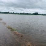 ਸਤਲੁਜ ਅਤੇ ਘੱਗਰ ਵਿੱਚ ਪਾਣੀ ਵਧਣ ਕਰਕੇ ਮਾਲਵਾ ਖੇਤਰ ਵਿੱਚ ਦਹਿਸ਼ਤ ਦਾ ਮਾਹੌਲ