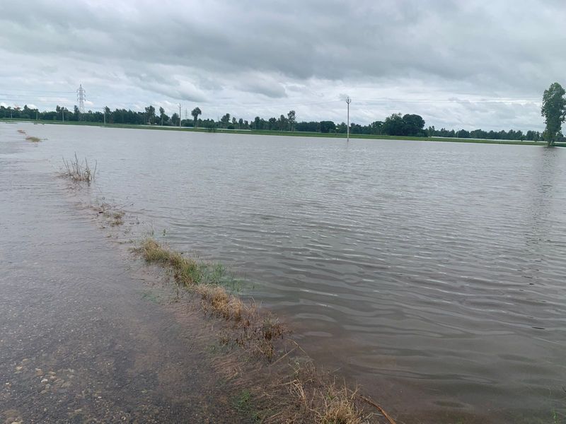 ਸਤਲੁਜ ਅਤੇ ਘੱਗਰ ਵਿੱਚ ਪਾਣੀ ਵਧਣ ਕਰਕੇ ਮਾਲਵਾ ਖੇਤਰ ਵਿੱਚ ਦਹਿਸ਼ਤ ਦਾ ਮਾਹੌਲ