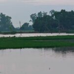 ਪਿੰਡ ਕੇਲਨੀਆਂ ਨੇੜਿਓਂ ਘੱਗਰ ਦਾ ਆਰਜ਼ੀ ਬੰਨ੍ਹ ਟੁੱਟਣ ਨਾਲ ਸੈਂਕੜੇ ਕਿੱਲਿਆਂ ’ਚ ਭਰਿਆ ਪਾਣੀ