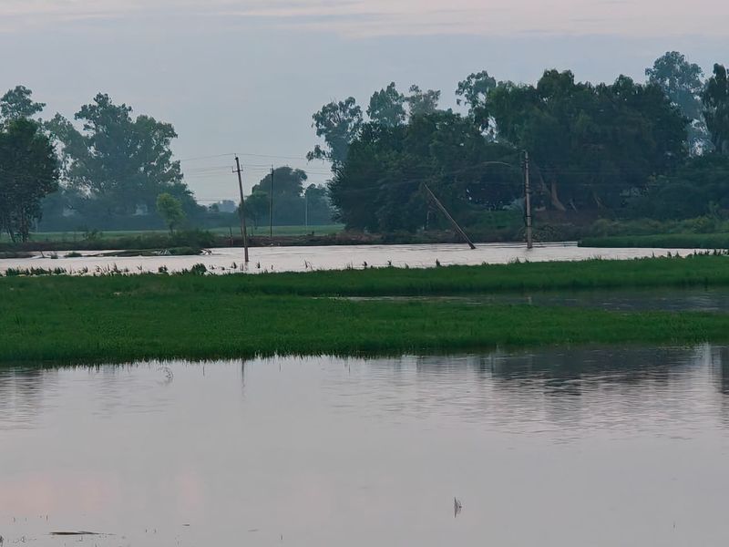 ਪਿੰਡ ਕੇਲਨੀਆਂ ਨੇੜਿਓਂ ਘੱਗਰ ਦਾ ਆਰਜ਼ੀ ਬੰਨ੍ਹ ਟੁੱਟਣ ਨਾਲ ਸੈਂਕੜੇ ਕਿੱਲਿਆਂ ’ਚ ਭਰਿਆ ਪਾਣੀ