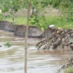 ਦਰਿਆ ਦੀ ਥਾਂ ਲੋਕਾਂ ਦੇ ਖੇਤਾਂ ਵਿੱਚ ਵਹਿਣ ਲੱਗਾ ਸਤਲੁਜ ਦਾ ਪਾਣੀ