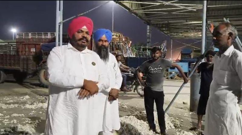 ਚਿੱਟਾ ਸੋਨਾ: ਪੰਜਾਬ ’ਚ ਰੁਲਣ ਲੱਗੀ ਨਰਮੇ ਦੀ ਫ਼ਸਲ