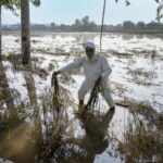 ਪੰਜਾਬ ਸਰਕਾਰ ਨੇ ਚੁੱਕੀ ਮੌਸਮ ਵਿਭਾਗ ’ਤੇ ਉਂਗਲ