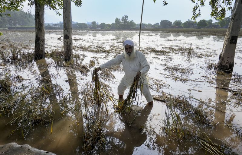 ਪੰਜਾਬ ਸਰਕਾਰ ਨੇ ਚੁੱਕੀ ਮੌਸਮ ਵਿਭਾਗ ’ਤੇ ਉਂਗਲ