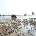 ਹੜ੍ਹ ਅਤਿ ਗੰਭੀਰ ਆਫ਼ਤ: ਕੇਂਦਰ ਨੂੰ ਰਿਪੋਰਟ ਭੇਜੇਗਾ ਪੰਜਾਬ