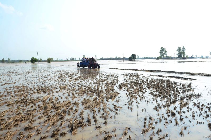 ਹੜ੍ਹ ਅਤਿ ਗੰਭੀਰ ਆਫ਼ਤ: ਕੇਂਦਰ ਨੂੰ ਰਿਪੋਰਟ ਭੇਜੇਗਾ ਪੰਜਾਬ