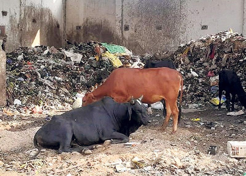 ਹੁਣ ਤੋਂ ਜਨਤਕ ਥਾਂ ’ਤੇ ਥੁੱਕਣ ‘ਤੇ 250 ਅਤੇ ਕੁੜਾ ਸੁੱਟਣ ’ਤੇ 1000 ਰੁਪਏ ਲੱਗੇਗਾ ਜੁਰਮਾਨਾ