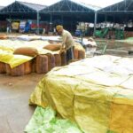 ਮੀਂਹ ਨਾਲ ਗਰਮੀ ਤੋਂ ਰਾਹਤ ਪਰ ਕਿਸਾਨਾਂ ਲਈ ਬਣਿਆ ਆਫ਼ਤ