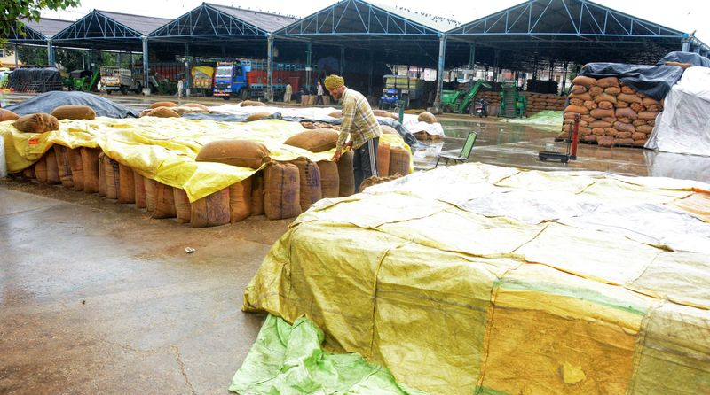 ਮੀਂਹ ਨਾਲ ਗਰਮੀ ਤੋਂ ਰਾਹਤ ਪਰ ਕਿਸਾਨਾਂ ਲਈ ਬਣਿਆ ਆਫ਼ਤ