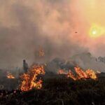 ਪਾਕਿਸਤਾਨ ਦੇ ਖੇਤਾਂ ਦੀ ਅੱਗ ਉੱਤਰੀ ਭਾਰਤ ਦੀ ਹਵਾ ਲਈ ਮੁਸੀਬਤ ਵਧਾ ਰਹੀ: ਮਾਹਿਰ