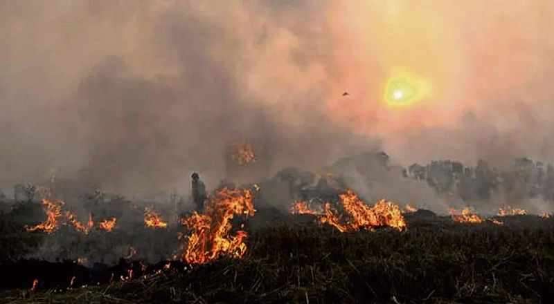 ਪਾਕਿਸਤਾਨ ਦੇ ਖੇਤਾਂ ਦੀ ਅੱਗ ਉੱਤਰੀ ਭਾਰਤ ਦੀ ਹਵਾ ਲਈ ਮੁਸੀਬਤ ਵਧਾ ਰਹੀ: ਮਾਹਿਰ