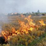 ਪਰਾਲੀ ਪ੍ਰਦੂਸ਼ਣ : 165 ਕਿਸਾਨਾਂ ਦੇ ਰਿਕਾਰਡ ’ਚ ਰੈੱਡ ਐਂਟਰੀ !