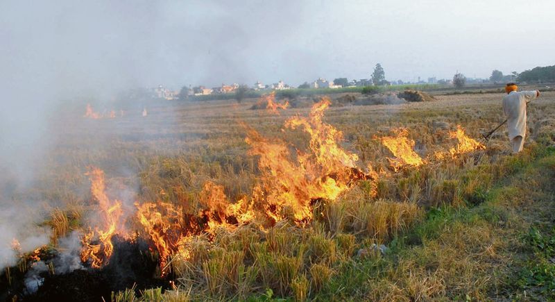 ਪਰਾਲੀ ਪ੍ਰਦੂਸ਼ਣ : 165 ਕਿਸਾਨਾਂ ਦੇ ਰਿਕਾਰਡ ’ਚ ਰੈੱਡ ਐਂਟਰੀ !