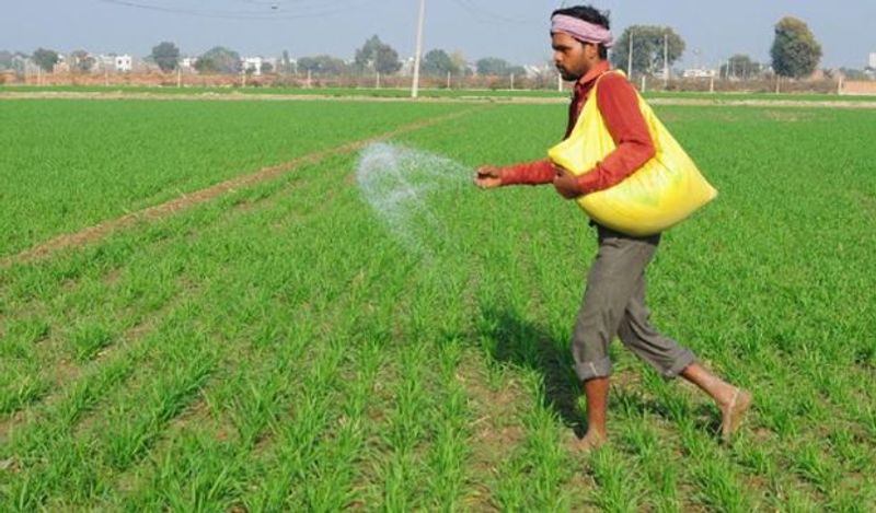 ਡੀ ਏ ਪੀ ਦੀ ਕਿੱਲਤ: ਪੰਜਾਬ ’ਚ ਕਣਕ ਦੀ ਬਿਜਾਈ ਅੱਜ ਤੋਂ