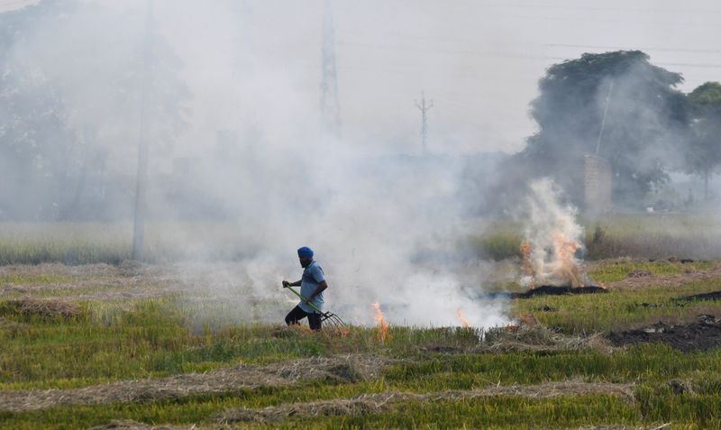 ਪਰਾਲੀ ਸਾੜਨ ਦੇ ਮਾਮਲੇ ’ਚ ਸਖ਼ਤ ਕਾਨੂੰਨੀ ਕਾਰਵਾਈ ਦੇ ਹੁਕਮ