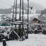 ਕਸ਼ਮੀਰ ਦੇ ਉੱਚੇ ਪਹਾੜੀ ਇਲਾਕਿਆਂ ਵਿਚ ਸੱਜਰੀ ਬਰਫ਼ਬਾਰੀ