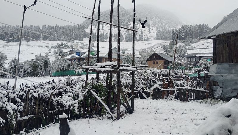 ਕਸ਼ਮੀਰ ਦੇ ਉੱਚੇ ਪਹਾੜੀ ਇਲਾਕਿਆਂ ਵਿਚ ਸੱਜਰੀ ਬਰਫ਼ਬਾਰੀ