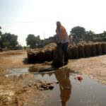 ਹੜ੍ਹਾਂ ਦਾ ਖ਼ਤਰਾ ਟਲਿਆ, ਭਾਰੀ ਮੀਂਹ ਨੇ ਫ਼ਸਲ ਝੰਬੀ