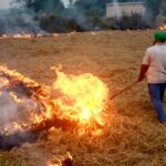 Stubble Burning: ਪੰਜਾਬ ਵਿੱਚ ਪਰਾਲੀ ਸਾੜਨ ਦੀਆਂ ਘਟਨਾਵਾਂ ਵਿੱਚ ਤਿੰਨ ਗੁਣਾ ਵਾਧਾ !