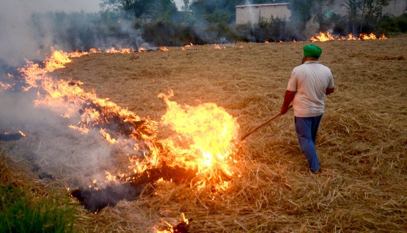 Stubble Burning: ਪੰਜਾਬ ਵਿੱਚ ਪਰਾਲੀ ਸਾੜਨ ਦੀਆਂ ਘਟਨਾਵਾਂ ਵਿੱਚ ਤਿੰਨ ਗੁਣਾ ਵਾਧਾ !