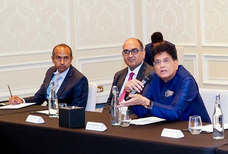 ਭਾਰਤ-ਅਮਰੀਕਾ ਵਪਾਰ ਸਮਝੌਤਾ ਨਵੰਬਰ ’ਚ ਹੋਣ ਦੀ ਆਸ: ਗੋਇਲ