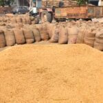 ਝੋਨੇ ਦੀ ਖਰੀਦ ਮੁੱਕਣ ਕੰਢੇ; ਛੋਟ ਬਾਰੇ ਕੇਂਦਰ ਚੁੱਪ