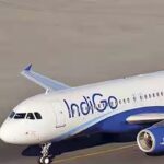 ਰਿਸ਼ੀਕੇਸ਼ ਵਿਚ ਮੁੰਬਈ ਤੋਂ ਆਈ ਉਡਾਣ ਨਾਲ ਪੰਛੀ ਟਕਰਾਇਆ, ਸਾਰੇ ਯਾਤਰੀ ਸੁਰੱਖਿਅਤ