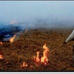 ਪੰਜਾਬ ਨੂੰ ‘ਜ਼ੀਰੋ ਪ੍ਰਦੂਸ਼ਣ’ ਦਾ ਟੀਚਾ