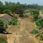 ਐੱਸ ਵਾਈ ਐੱਲ: ਕੇਂਦਰ ਨੇ ਵਿਚੋਲਗੀ ਤੋਂ ਟਾਲਾ ਵੱਟਿਆ