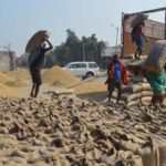 ਝੋਨੇ ਦੀ ਲਿਫਟਿੰਗ ਵਿਚ ਪੰਜਾਬ ਵਿਚੋਂ ਲੁਧਿਆਣਾ ਜ਼ਿਲ੍ਹਾ ਮੋਹਰੀ