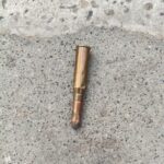 ਚੰਡੀਗੜ੍ਹ ਦੇ ਸੈਕਟਰ 29 ਵਿੱਚੋਂ ਚਾਰ ਜ਼ਿੰਦਾ ਕਾਰਤੂਸ ਮਿਲੇ