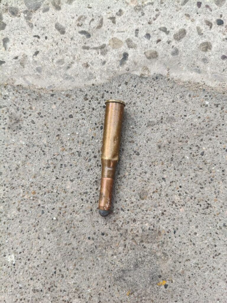 ਚੰਡੀਗੜ੍ਹ ਦੇ ਸੈਕਟਰ 29 ਵਿੱਚੋਂ ਚਾਰ ਜ਼ਿੰਦਾ ਕਾਰਤੂਸ ਮਿਲੇ