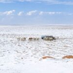 ਸਾਊਦੀ ਅਰਬ ਦੇ ਰੇਗਿਸਤਾਨ ਵਿੱਚ ਬਰਫ਼ਬਾਰੀ ਕਿਉਂ ?