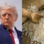 ਟਰੰਪ ਦੀ ਚੇਤਾਵਨੀ: ‘ਅਮਰੀਕੀ ਬਾਜ਼ਾਰ ’ਚ ਭਾਰਤ ਚੌਲ ‘ਡੰਪ’ ਨਾ ਕਰੇ..’ ਟੈਰਿਫ਼ ਲਗਾ ਕੇ ਸਮੱਸਿਆ ਦਾ ਕਰਾਂਗਾ ਹੱਲ !